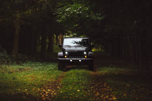 黑色Jeep Wrangler在鋪滿落葉的森林小徑上。