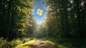 一條穿過陽光明媚森林的泥土小徑，天空中漂浮著Windows標誌。 — 視窗 壁紙