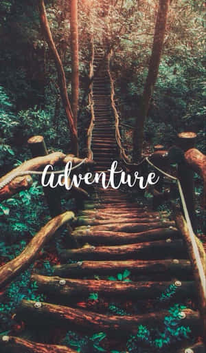 通往茂密綠色森林的木樓梯，帶有「Adventure」文字疊加。