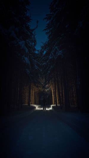 夜晚在積雪森林小徑上獨自行走的人，前方有光