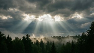 黎明時分，陽光穿透黑暗的雲層，照耀在霧氣瀰漫的森林山谷上。