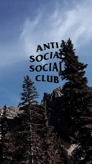 藍天下松樹和山脈上方的粗體黑色文字「anti social social club」