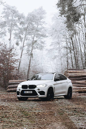 白色BMW X6 SUV停泊在雪地森林中，附近有木頭。 — 平治 C300 壁紙