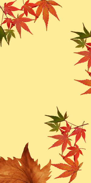 紅色、橙色和綠色的秋季楓葉框住淡黃色背景。