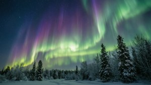 北極光在夜間照耀著雪覆蓋的森林