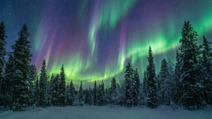 極光在星空下照耀著積雪的松樹