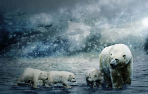北極熊媽媽和她的幼崽在暴風雪中涉水穿過冰冷的海水。 — 北極熊 GIF 壁紙