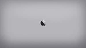 灰色漸變背景上的Apple標誌 — 灰色 GIF 壁紙