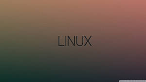 Linux 文字在從青綠色到玫瑰色的漸變背景上。