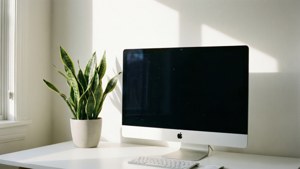 白色 iMac 和蛇植物在書桌上，陽光從窗戶射入。