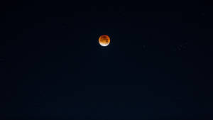 血月在星空夜空中發光 — 月光 壁紙