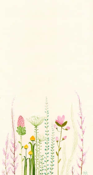 在奶油色背景上以柔和粉彩繪製的野花植物插圖。