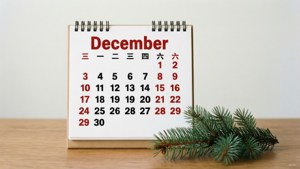 十二月日曆，紅色數字，旁邊有松樹枝，木質表面
