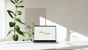 白色桌子上的筆記型電腦，有植物和陽光，顯示文字 choose joy today — 簡約桌面壁紙
