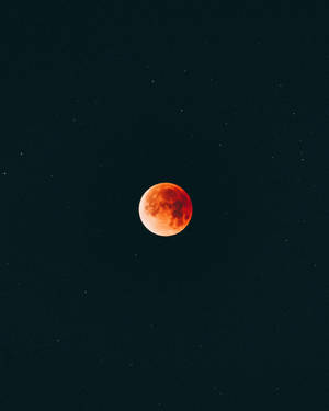 血月在黑暗的夜空中與星星一起發光