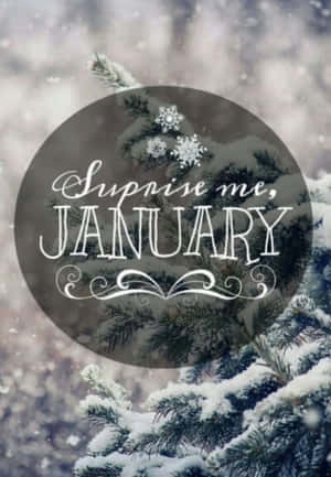 被雪覆蓋的松樹枝條，帶有一個圓形圖案，上面寫著「Surprise me, JANUARY」。 — 雪 壁紙