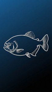 一條白色輪廓的魚漂浮在深藍色水中。