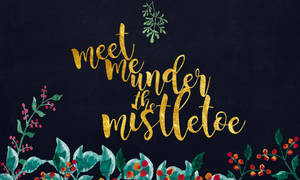 節日問候 meet me under the mistletoe，搭配綠植和漿果，深色背景
