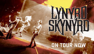 Lynyrd Skynyrd 樂隊在紅色和黃色燈光下，手持結他、戴著帽子進行現場表演。