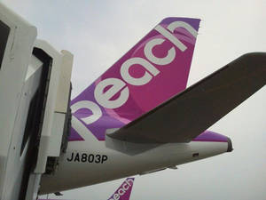 多雲天空下，Peach Airlines飛機尾部，註冊號JA803P