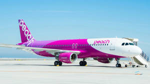 Peach Airlines飛機停在機場閘口，並連接了登機梯。