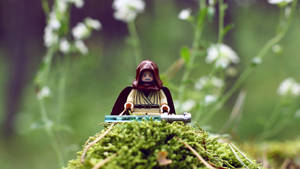 LEGO Jedi人偶坐在森林中長滿苔蘚的石頭上，伴有白色花朵