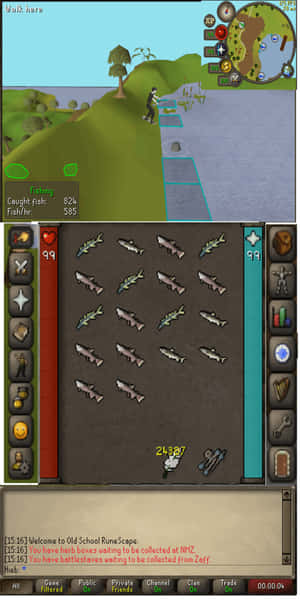 Old School RuneScape 遊戲介面，顯示釣魚遊戲玩法和捕獲魚類的庫存。