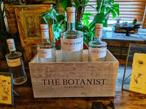 四瓶 The Botanist 琴酒放在木箱中，置於一張有植物和復古物品的木桌上。