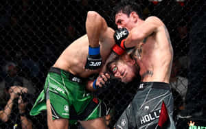 兩名身穿MMA裝備的男性拳手在UFC八角籠內纏鬥。