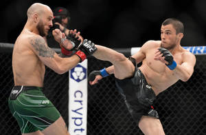 兩名戴著MMA手套的男性拳手在八角籠內交換高踢和阻擋。