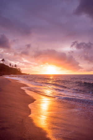 夕陽下的海洋，沙灘上有海浪和棕櫚樹