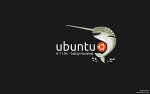 Ubuntu Natty Narwhal標誌，在黑色背景上帶有風格化的獨角鯨和發行文字。