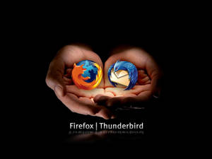 兩隻手捧著發光的 Firefox 和 Thunderbird 標誌。 — 高解析度 壁紙