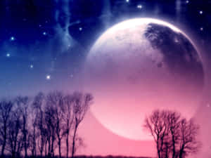 光禿禿的樹木在巨大發光的月亮和星空襯托下形成剪影。 — 月亮 壁紙