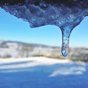 在清澈藍天下，融化的冰柱懸掛在雪地上方。