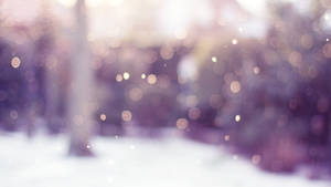白雪森林帶有柔和發光嘅散景燈光，紫色同白色。