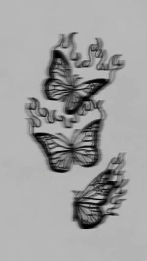 三隻火焰翅膀的蝴蝶，黑白素描風格。
