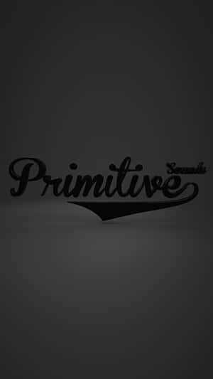在灰色漸變背景上，黑色風格文字寫著 Primitive Sounds。