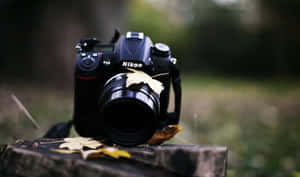 森林中，黑色 Nikon 相機放在被落葉包圍的木頭上。