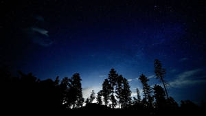 剪影的樹木在星空夜空下，帶有深藍色調和散落的雲彩。