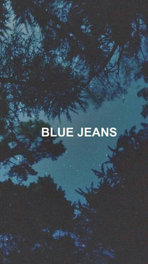 樹木剪影框住星空，並帶有文字 blue jeans。
