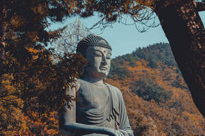 一座大型石佛像，周圍環繞著秋葉和森林覆蓋的山丘。