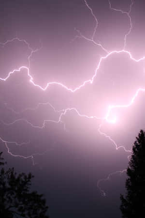 紫色暴風雨天空，明亮的閃電和樹木剪影