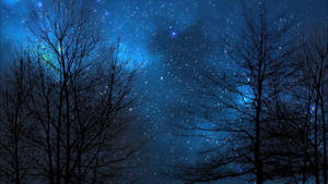 光禿禿的樹木剪影映襯著繁星點點的藍色夜空，星雲閃爍。