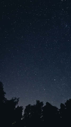 廣闊星空下的樹木剪影。 — 夜空 壁紙