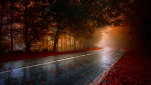 潮濕的秋日道路蜿蜒穿過霧氣瀰漫的森林，伴有紅葉。