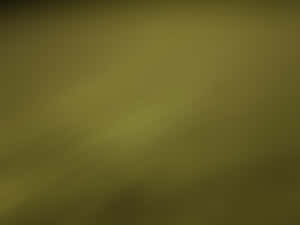 帶有柔和色調變化的橄欖綠抽象漸變背景。 — 綠色美學 壁紙