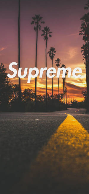 日落時分有棕櫚樹的道路，帶有Supreme字樣