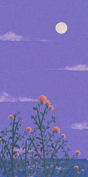 橙色花卉