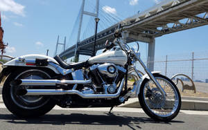 白色Harley-Davidson電單車停泊在大型現代橋樑下，陽光普照。 — 機車 壁紙